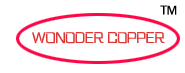 Shenzhen Wonder Industrial Company Limited.